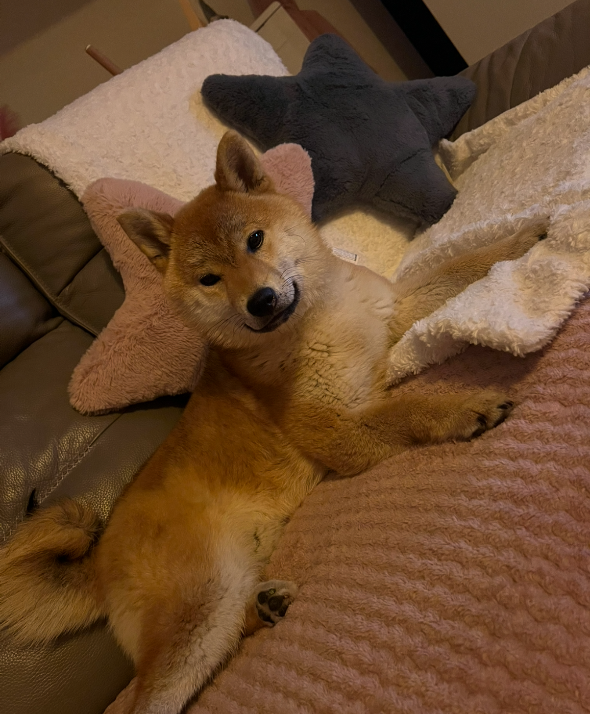 URBAINE De La Source Des Rochettes